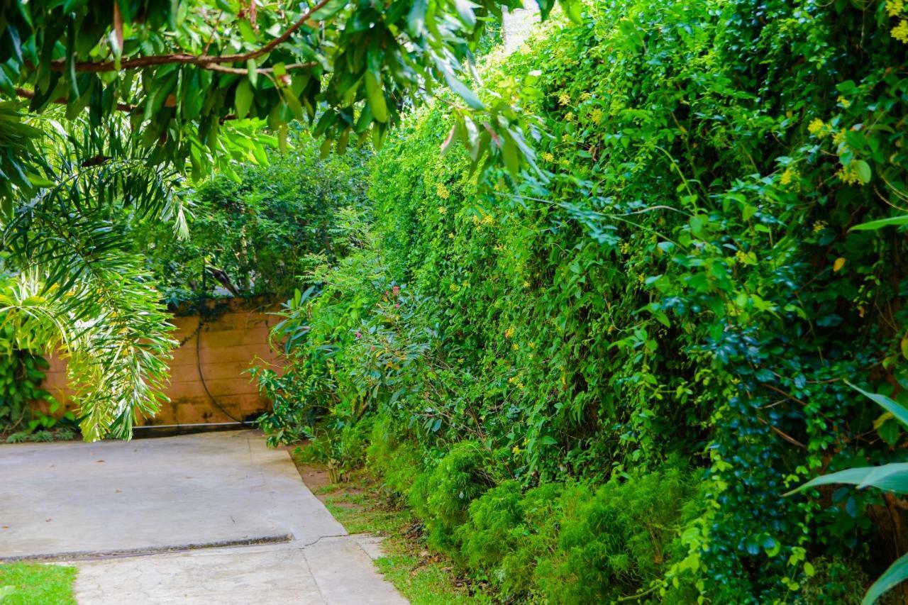 Homestay Garden Rest Kandy Buitenkant foto