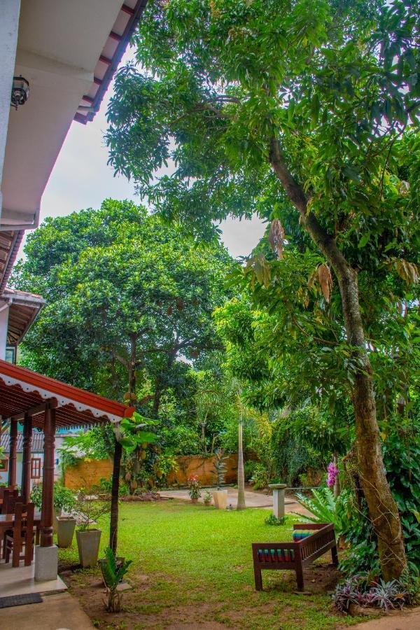 Homestay Garden Rest Kandy Buitenkant foto