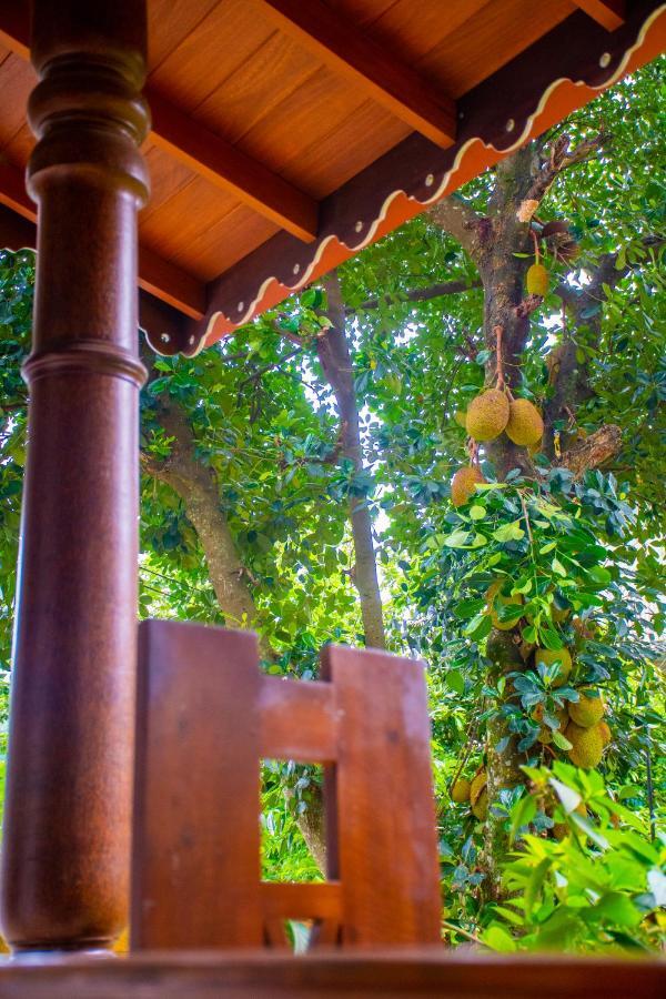Homestay Garden Rest Kandy Buitenkant foto